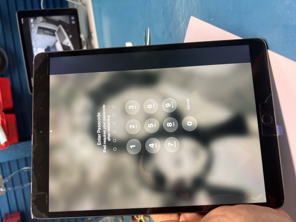 iPad repaired at CellRepair Chula Vista